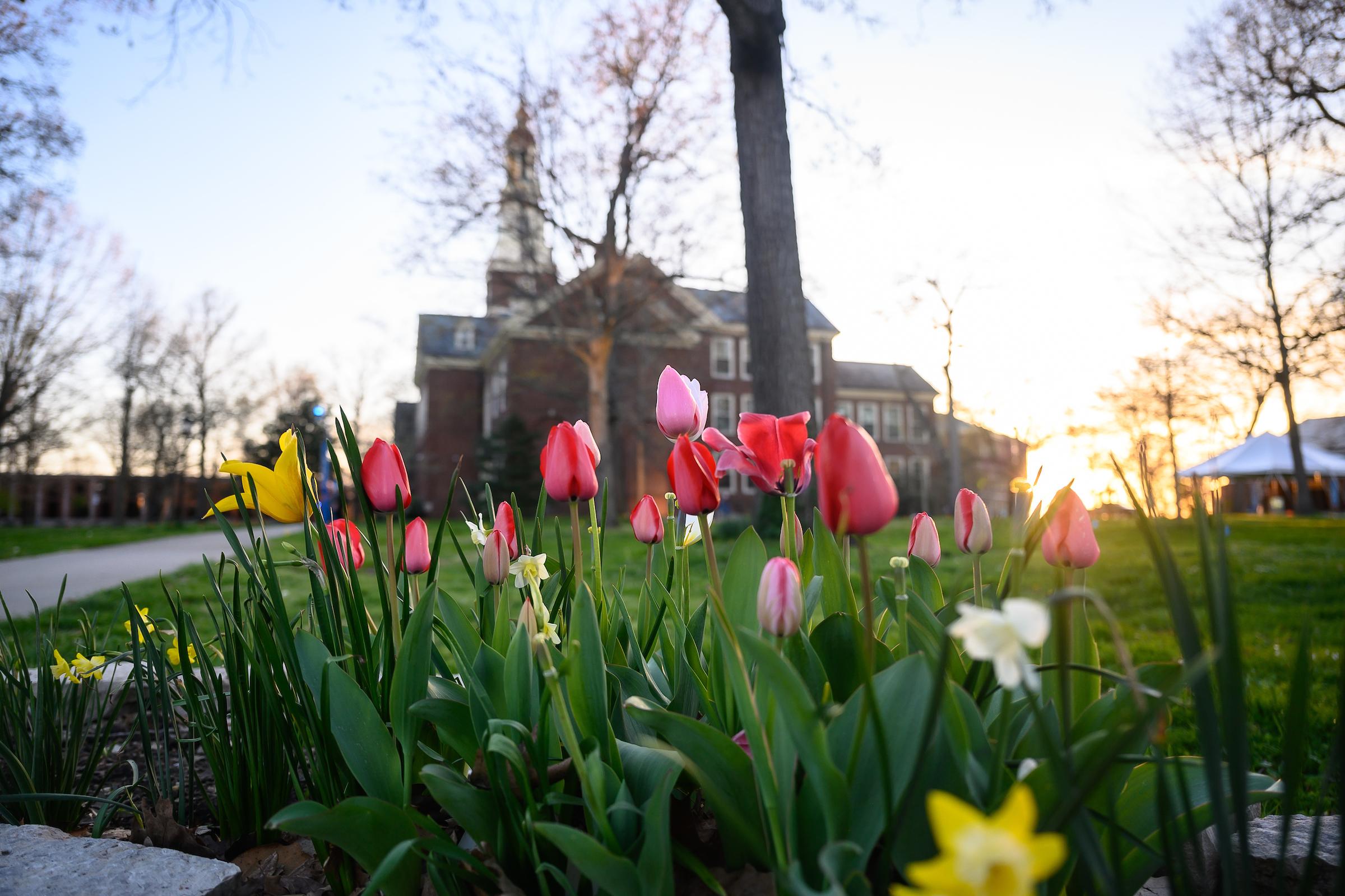 Berea College Draper Campus in Spring