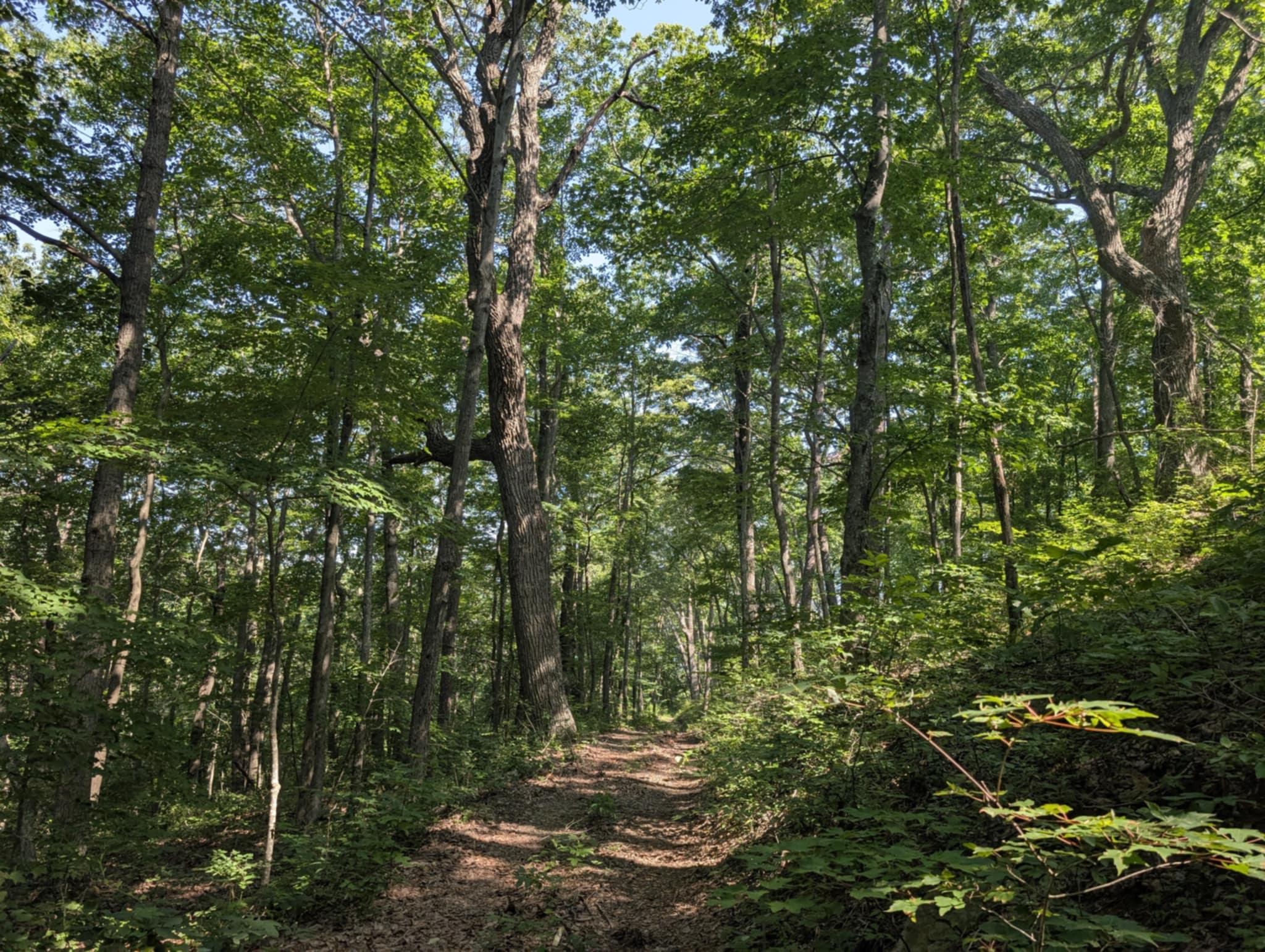 Pinnacle Knob in Berea, Ky